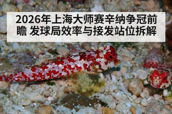 2026年上海大师赛辛纳争冠前瞻 发球局效率与接发站位拆解